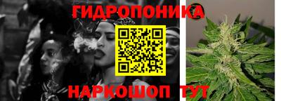 гашик Донецк
